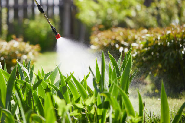 24/7 Emergency Cockroach Control experts in St. George, UT
