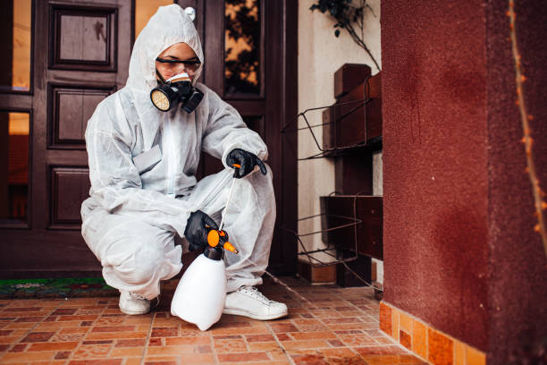 Reliable Cockroach Control contractor in St. George, UT by Nex Pest Control