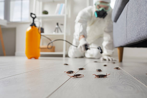Affordable Cockroach Control solutions in St. George, UT